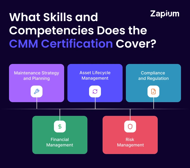 What Skills and Competencies Does the CMM Certification Cover